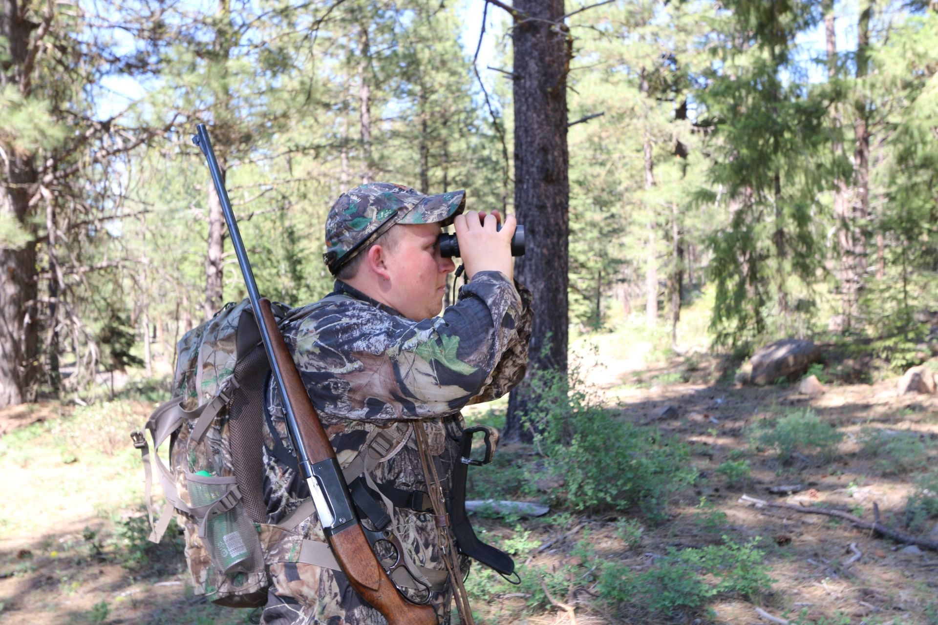 Hunter with a pack glassing through binoculars in open pine country.